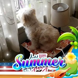 Meet your Posher, Nancy